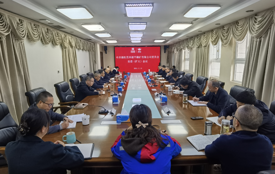 公司召開黨委擴大會議暨黨風廉政建設專題工作會